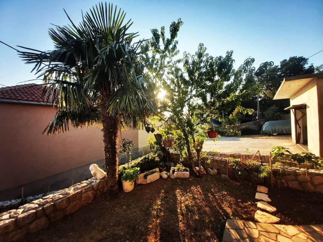 Apartmani Afrodita Crikvenica Dış mekan fotoğraf