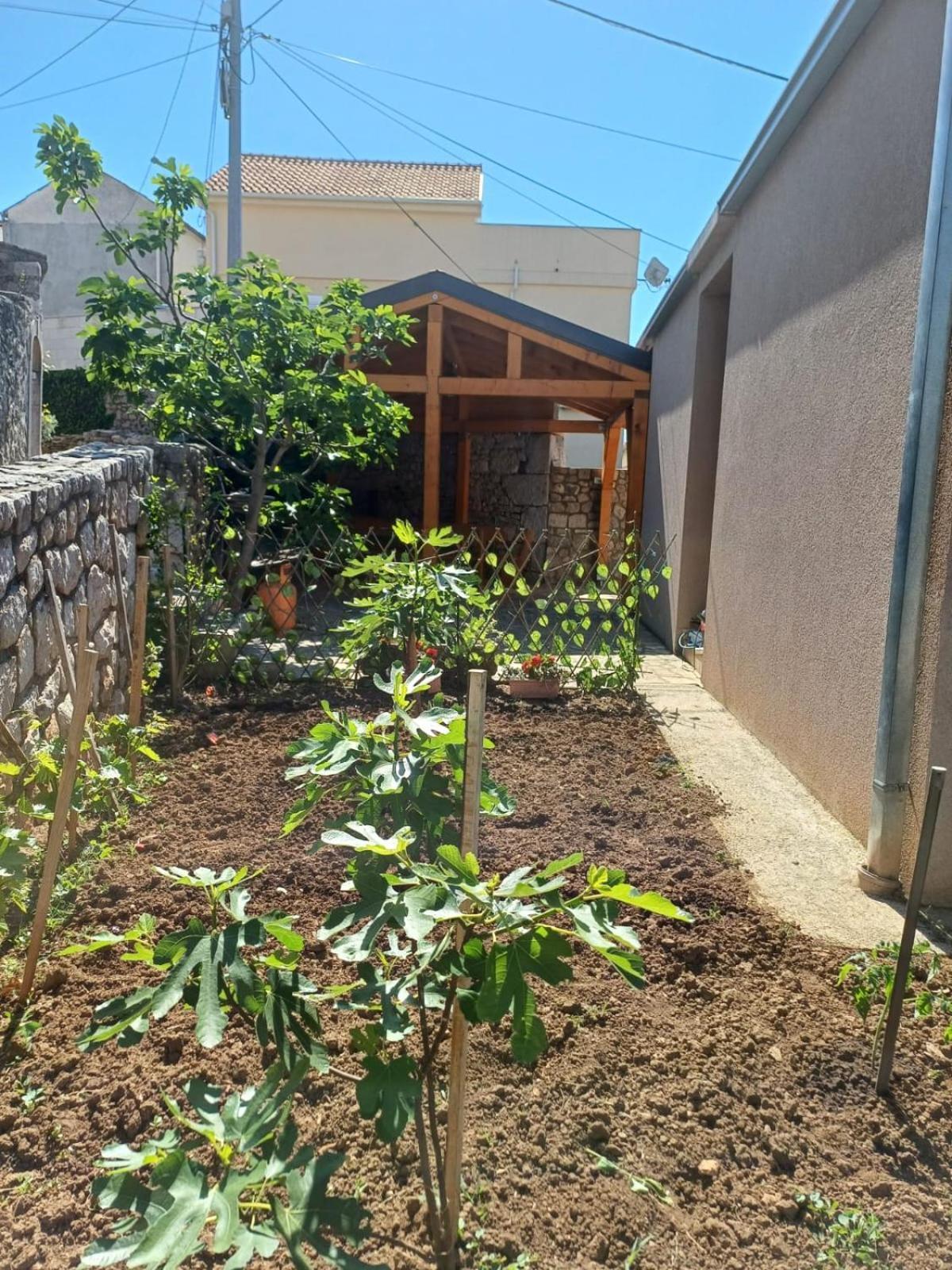 Apartmani Afrodita Crikvenica Dış mekan fotoğraf