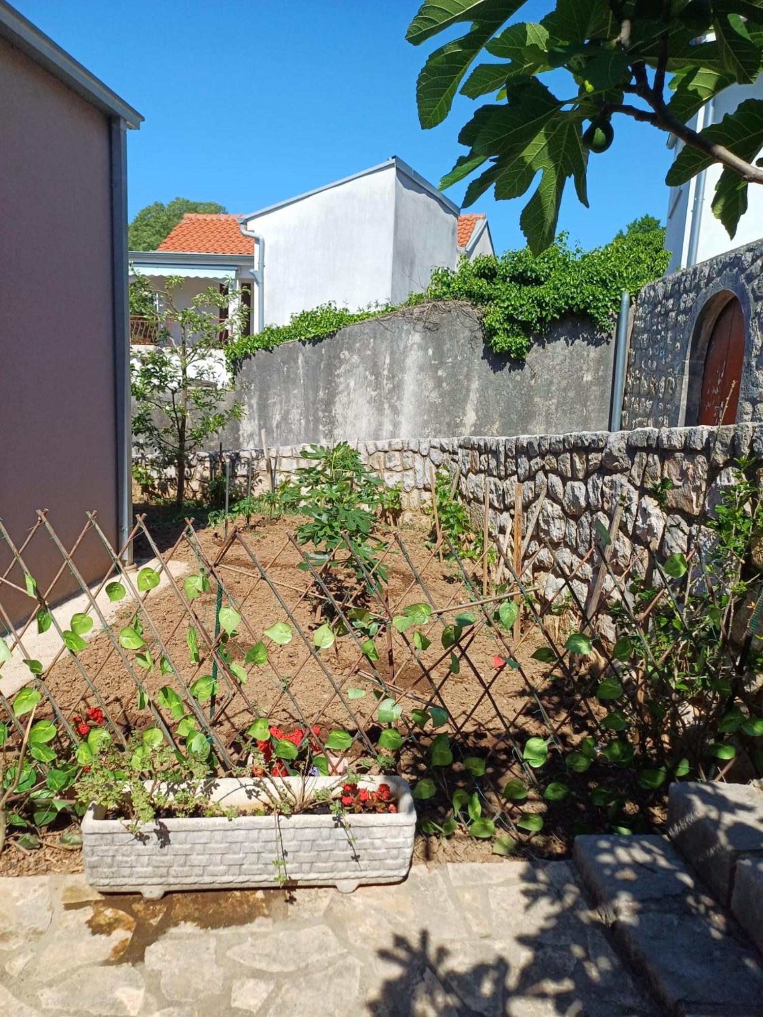Apartmani Afrodita Crikvenica Dış mekan fotoğraf